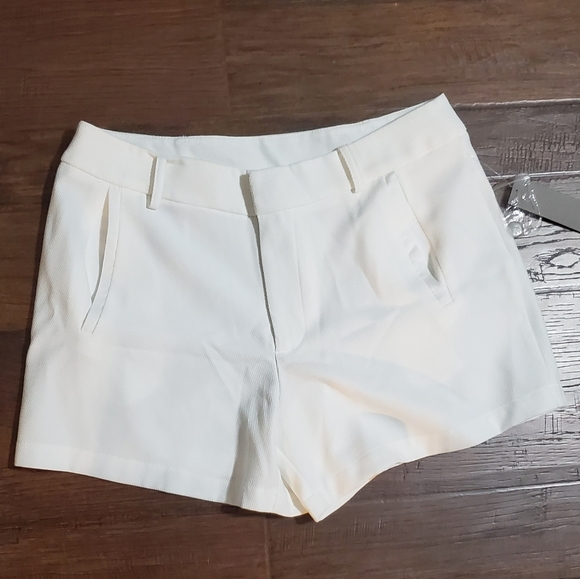 Sophie Rue Pants - ❤NWT Sophie Rue  dressy pants size L